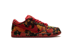 Dunk Low "Wizard of Oz"